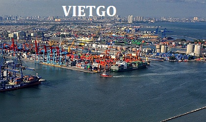 ngô hạt việt nam
