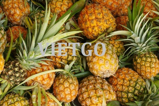 VIETGO-xuat-khau-trai-cay-Somalia-Mohamed