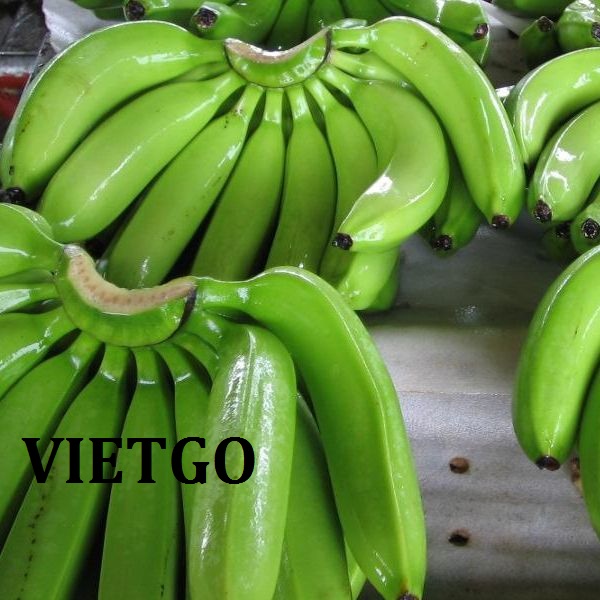 VIETGO-xuat-khau-chuoi-Hong Kong