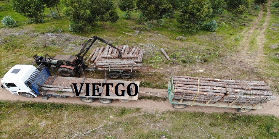 gothongtronUruguay
