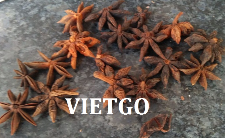 VIETGO-xuat-khau-hoa hoi-que-dinh huong-An Do VIETGO-xuat-khau-hoa hoi-que-dinh huong-An Do