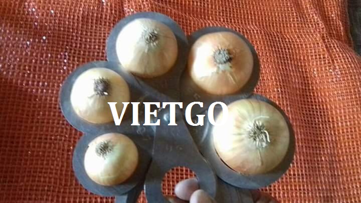 VIEGO-xuat-khau-dứa-khóm-Hy-Lạp VIEGO-xuat-khau-dứa-khóm-Hy-Lạp