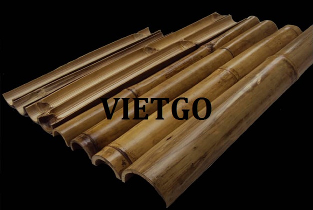 farah-vietgo-gay5
