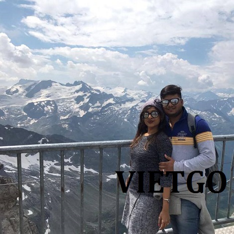 go-dan-xuat-khau-vietgo go-dan-xuat-khau-vietgo