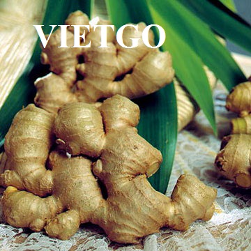 gừng tươi