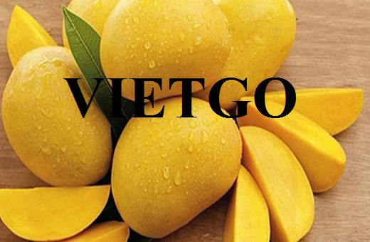 VIETGO-xuat-khau-gưng-toi-carrot-trai-cay-cac-loai-Maldives