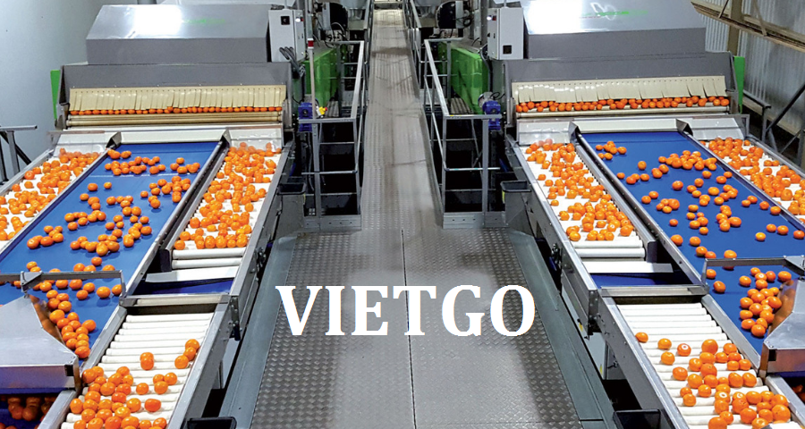 gachmen-vietgo-281218