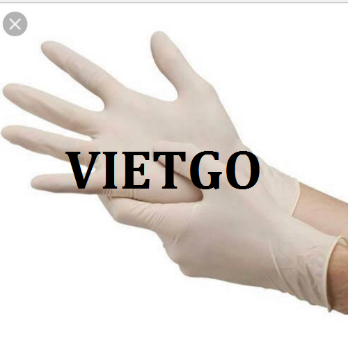 gangtay-vietgo-110219 