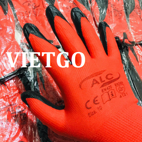 gangtayvietgo080319