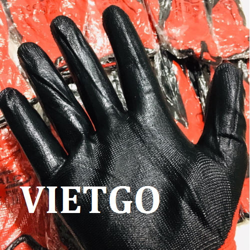 gangtayvietgo080319