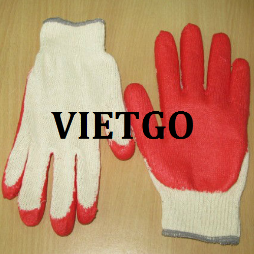 gangtayvietgo110319