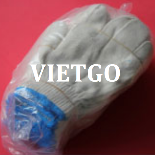 gangtayvietgo260219