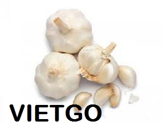 tỏi việt nam xuất khẩu