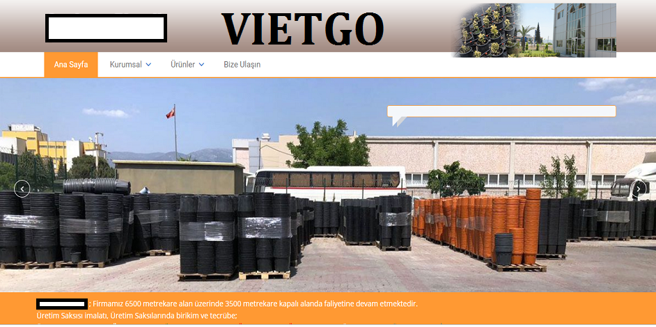 Gay-tre-VIETGO Gay-tre-VIETGO