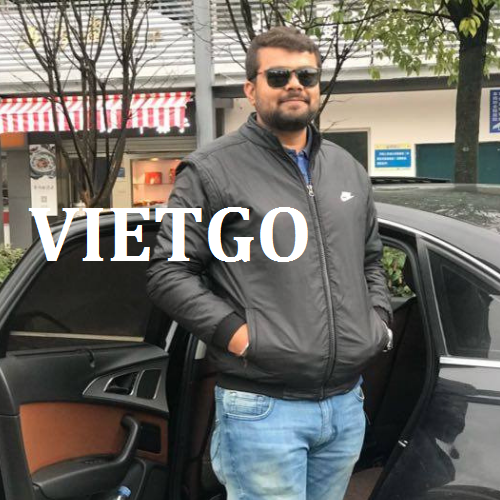 giay-vietgo-1-020219