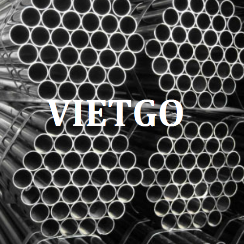 giay1vietgo190219