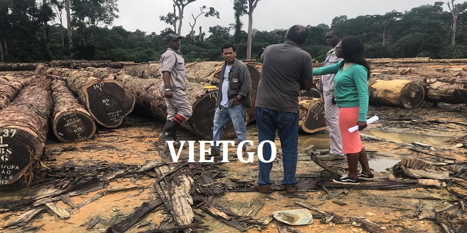 go-cam-xe-vietgo-xk