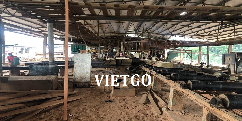 go-cam-xe-vietgo-xk