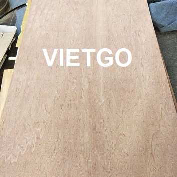 go-dan-benin-vietgo