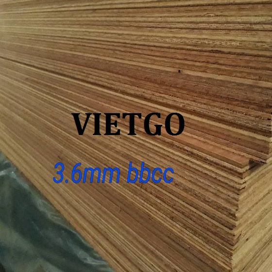 go-dan-eddy-vietgo-vietnam6 go-dan-eddy-vietgo-vietnam6