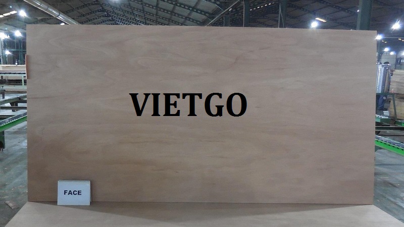go-dan-eddy-vietgo-vietnam6 go-dan-eddy-vietgo-vietnam6