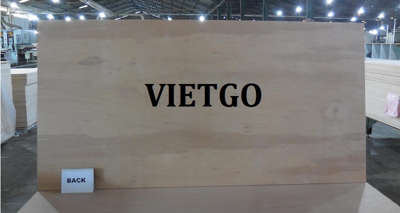 go-dan-eddy-vietgo-vietnam6 go-dan-eddy-vietgo-vietnam6