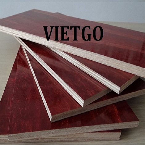 go-dan-phu-phim-vietgo-shabbir4
