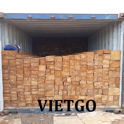 go-teak-xe-vietgo