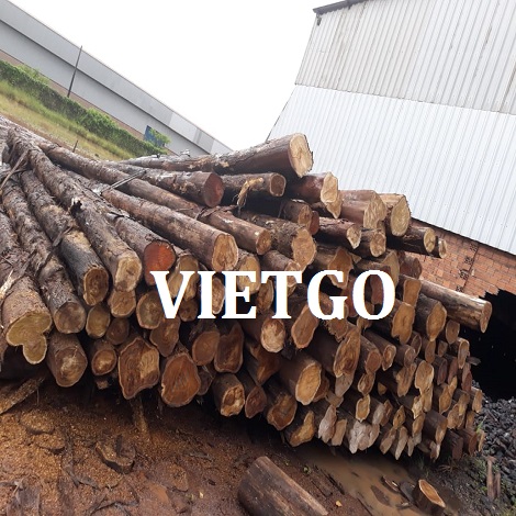 go-teak-tron-an-do-vietgo go-teak-tron-an-do-vietgo