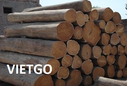go-teak-tron-an-do-vietgo