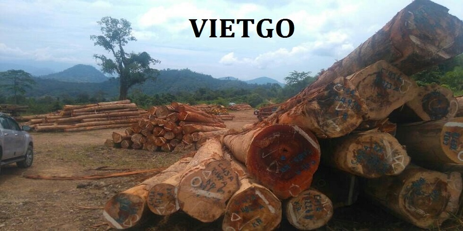 xuat-khau-go-teak-vietgo xuat-khau-go-teak-vietgo