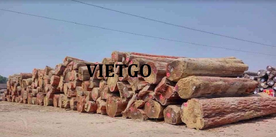 xuat-khau-go-teak-vietgo