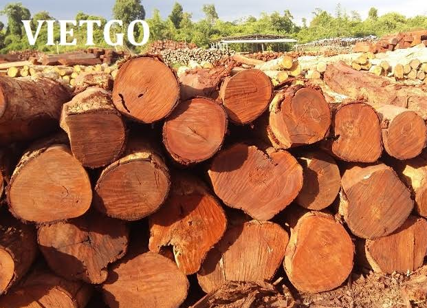 xuat-khau-go-teak-vietgo