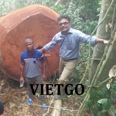xuat-khau-go-teak-vietgo