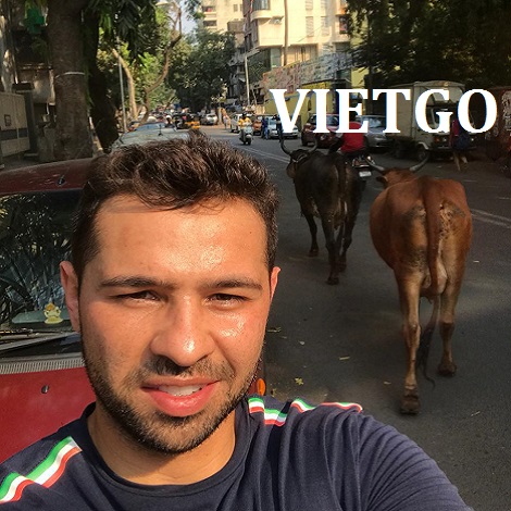 xuat-khau-go-teak-vietgo