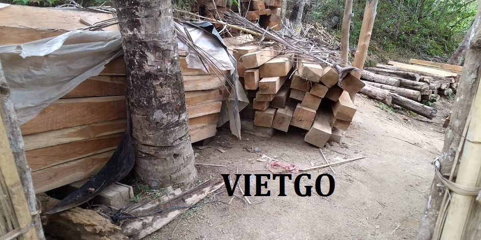 go-teak-xe-an-do-vietgo