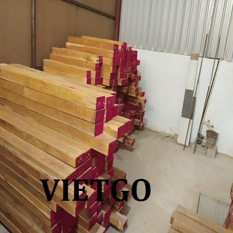 go-teak-xe-an-do-vietgo