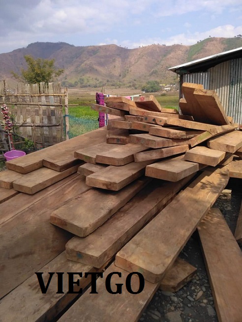 go-teak-xe-an-do-vietgo