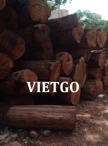 xuat-khau-go-teak-vietgo