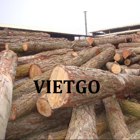 go-thong-tron-vietgo
