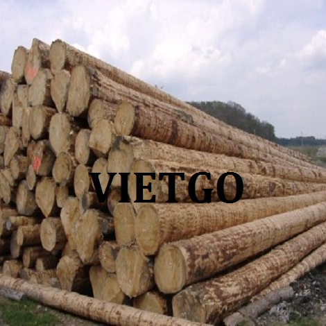 go-thong-tron-vietgo