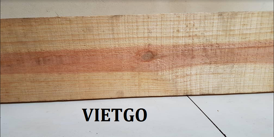 viet-go-go-thong-xe
