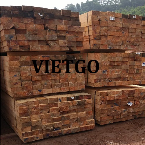 go-thong-xe-vietgo2