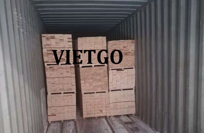 go-thong-xe-vietgo2