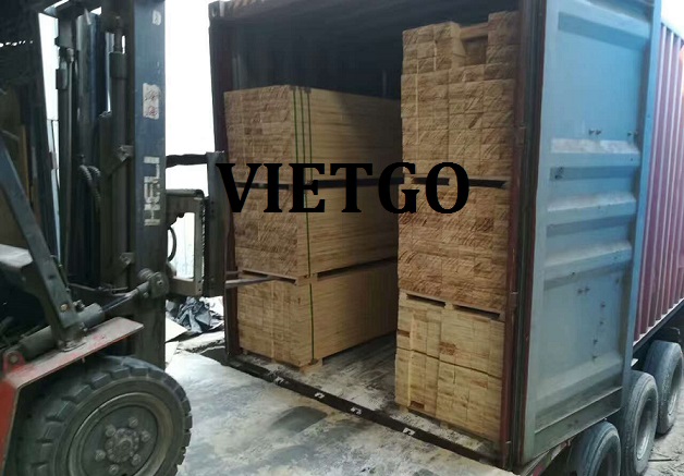 go-thong-xe-vietgo2