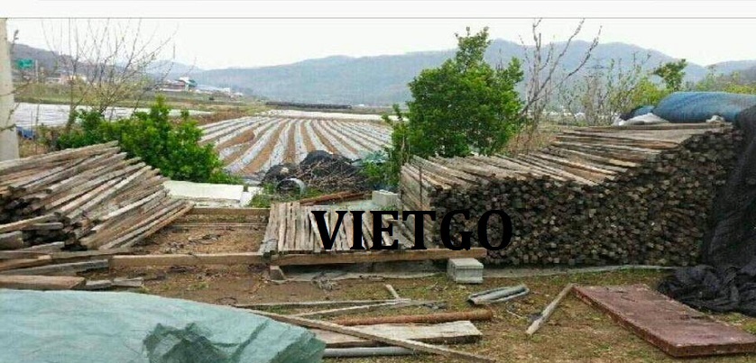 go-thong-xe-vietgo-han-quoc