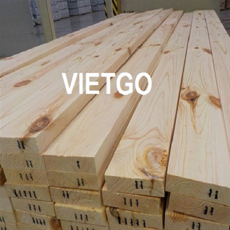 go-thong-xe-an-do-vietgo