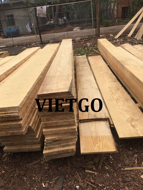 go-thong-xe-an-do-vietgo go-thong-xe-an-do-vietgo