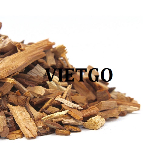 go-vun-hong-kong-vietgo