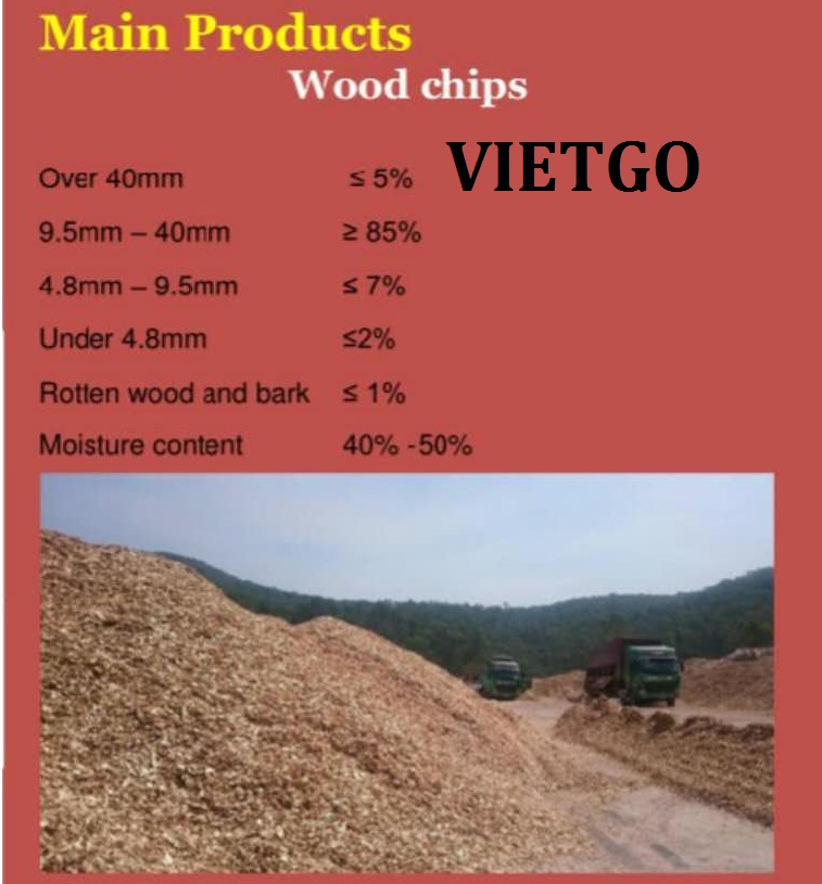 go-vun-vietnam-vietgo-roger